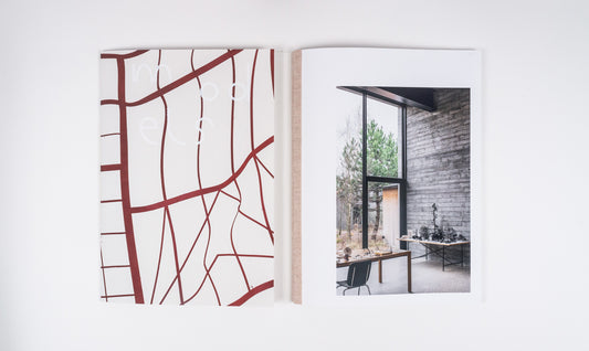 Monika Sosnowska - Models