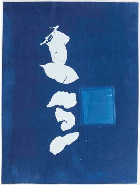 Hayley Tompkins - No Title