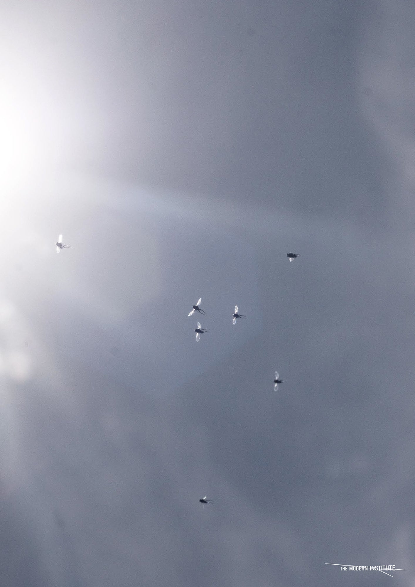 Henrik Håkansson - The End