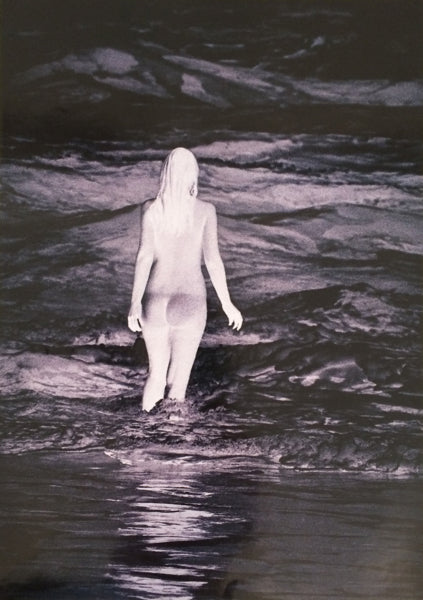 Anne Collier