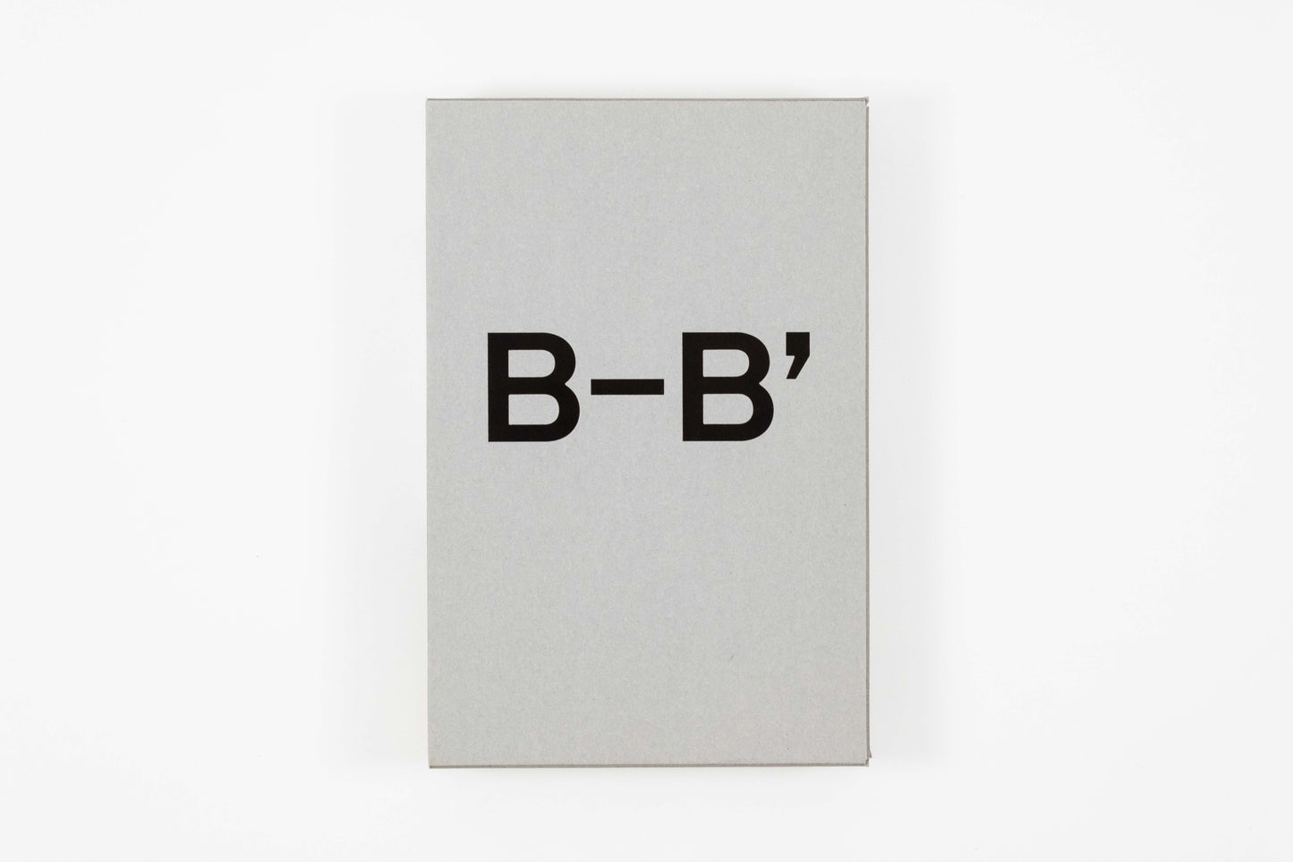 Simon Starling - A'–A', B'–B'
