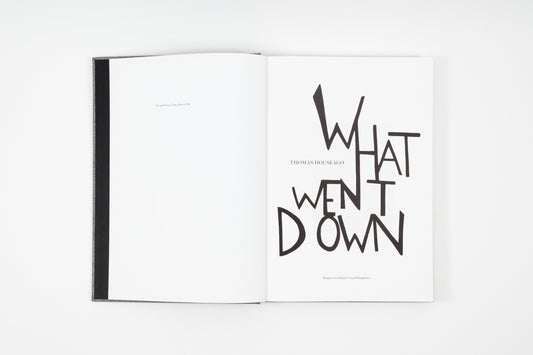 Thomas Houseago - What Went Down