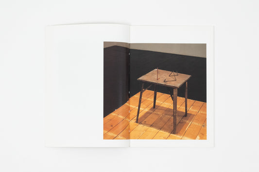 Cathy Wilkes - We Whites