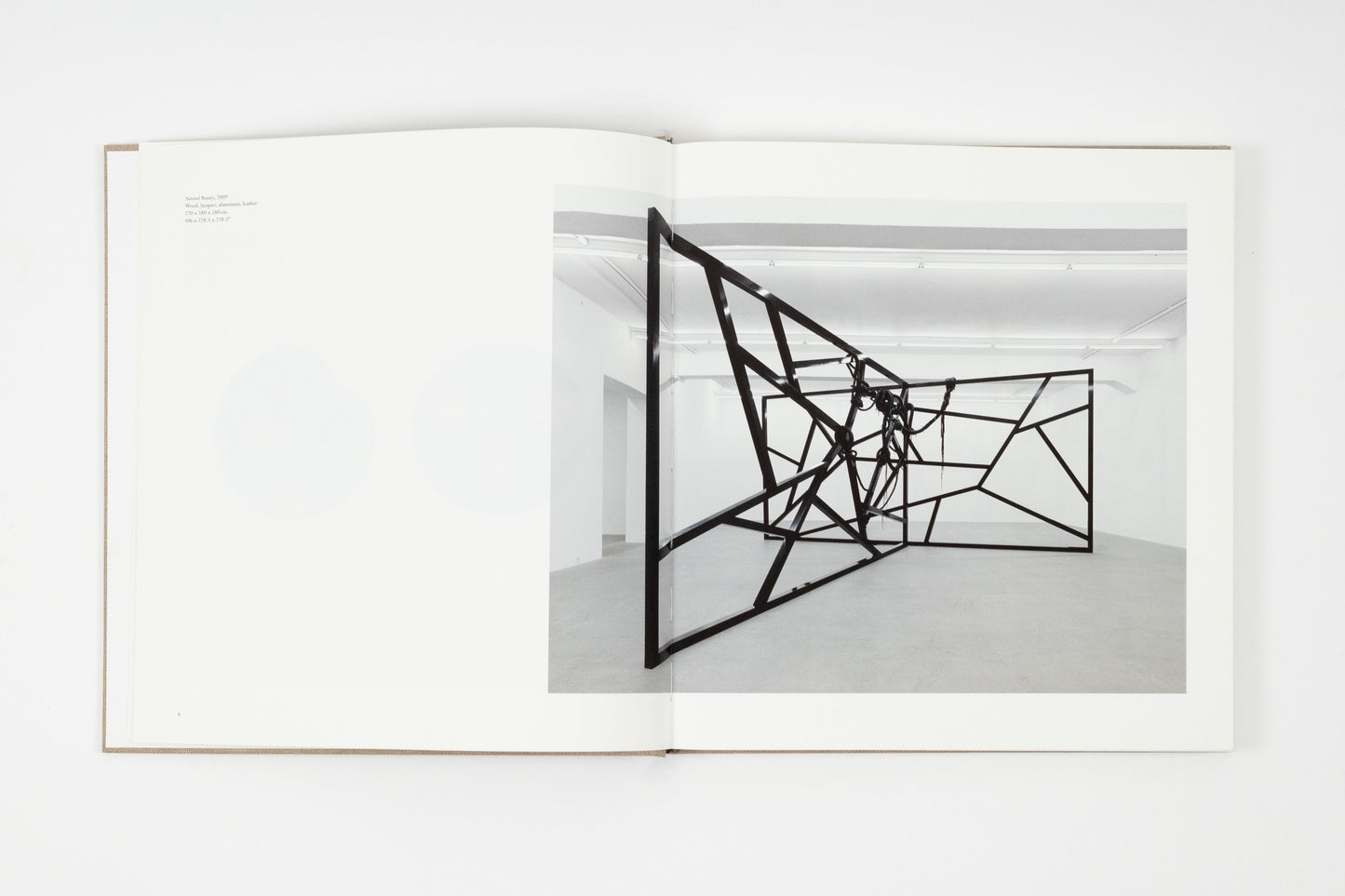 Eva Rothschild
