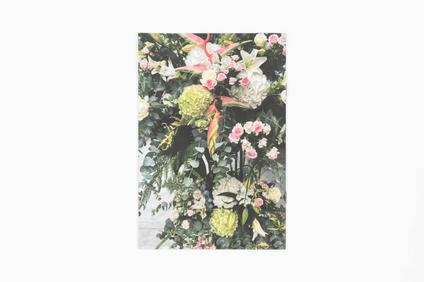 Julia Chiang - Remember That Time When What