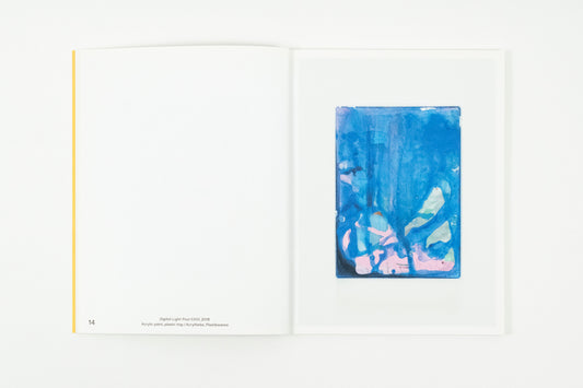 Hayley Tompkins - Stick crystals to paintings