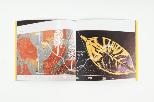 Lisa Alvarado Spiral Yellow