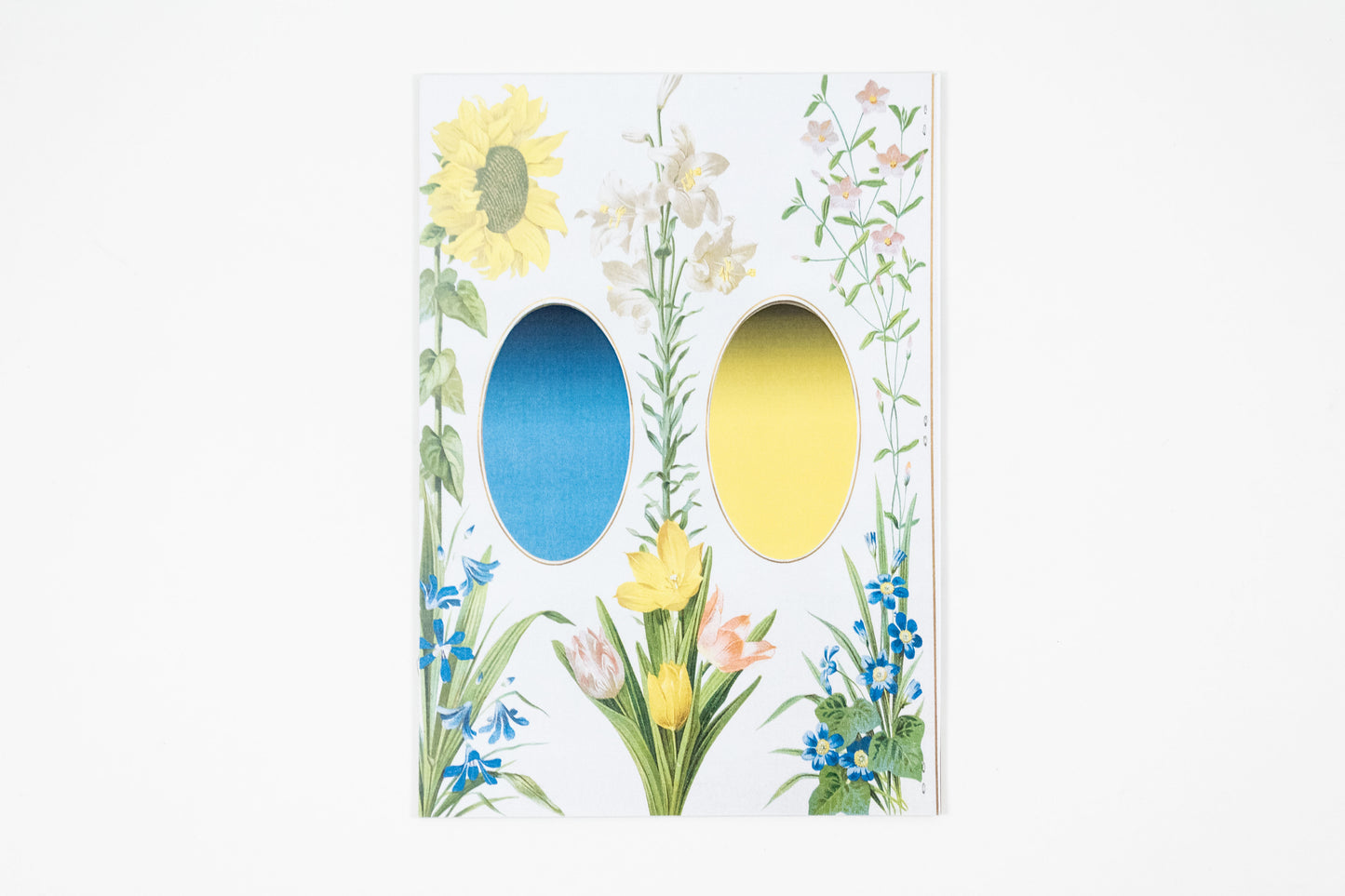 Simon Perition - National Geographic