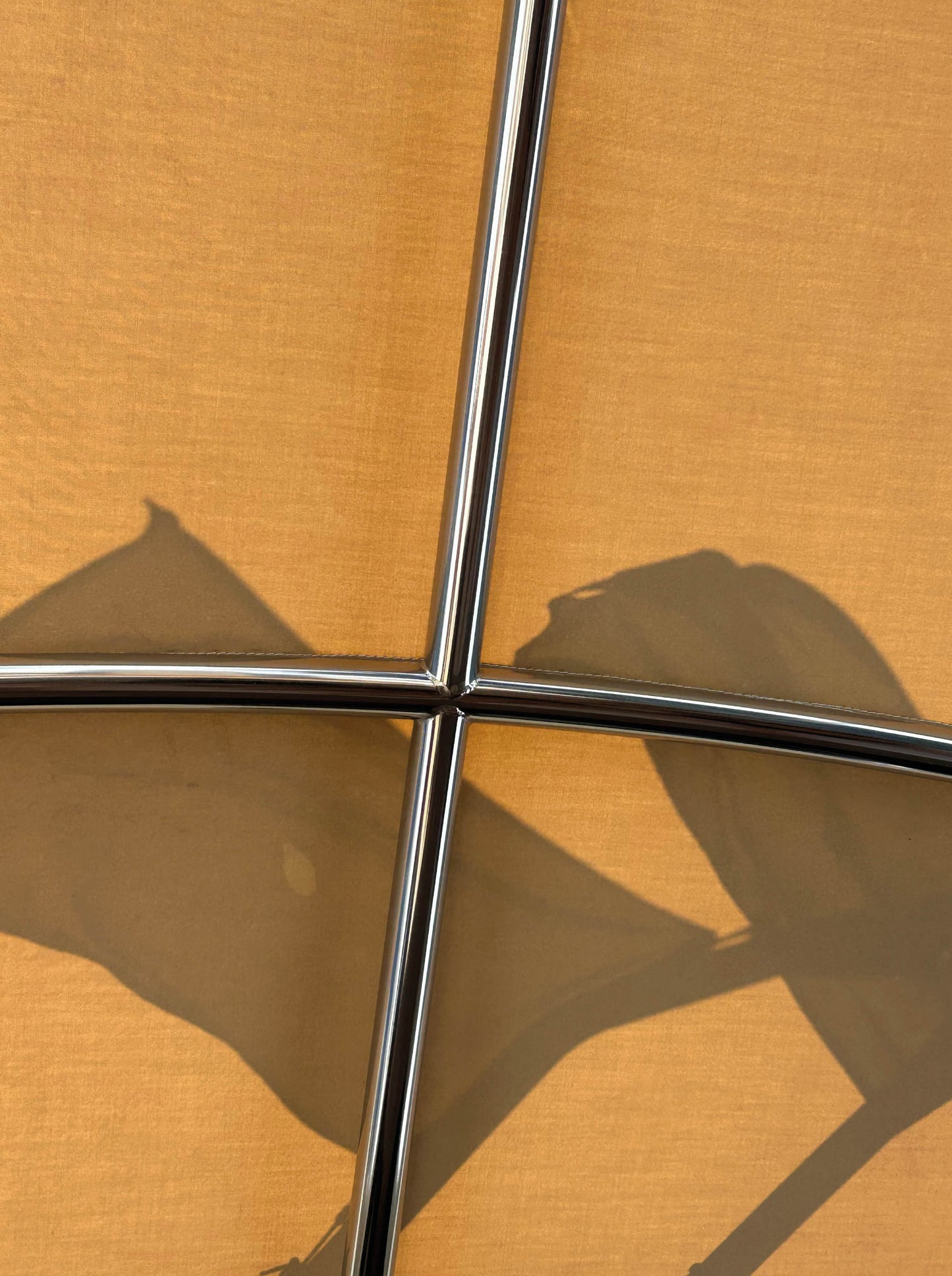 Jesse Wine - Time's Arrow