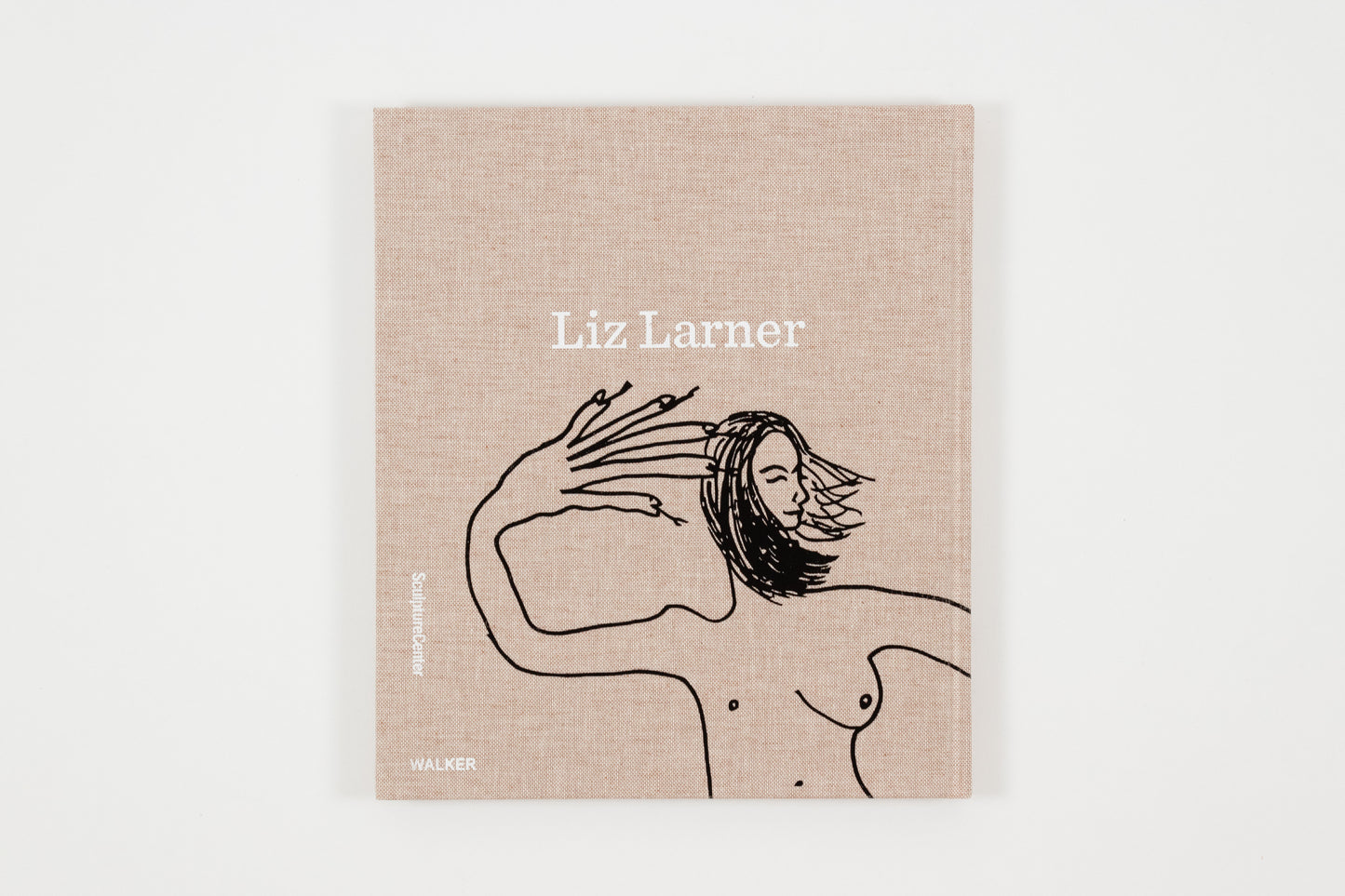 Liz Larner - Don't Put It Back Like It Was