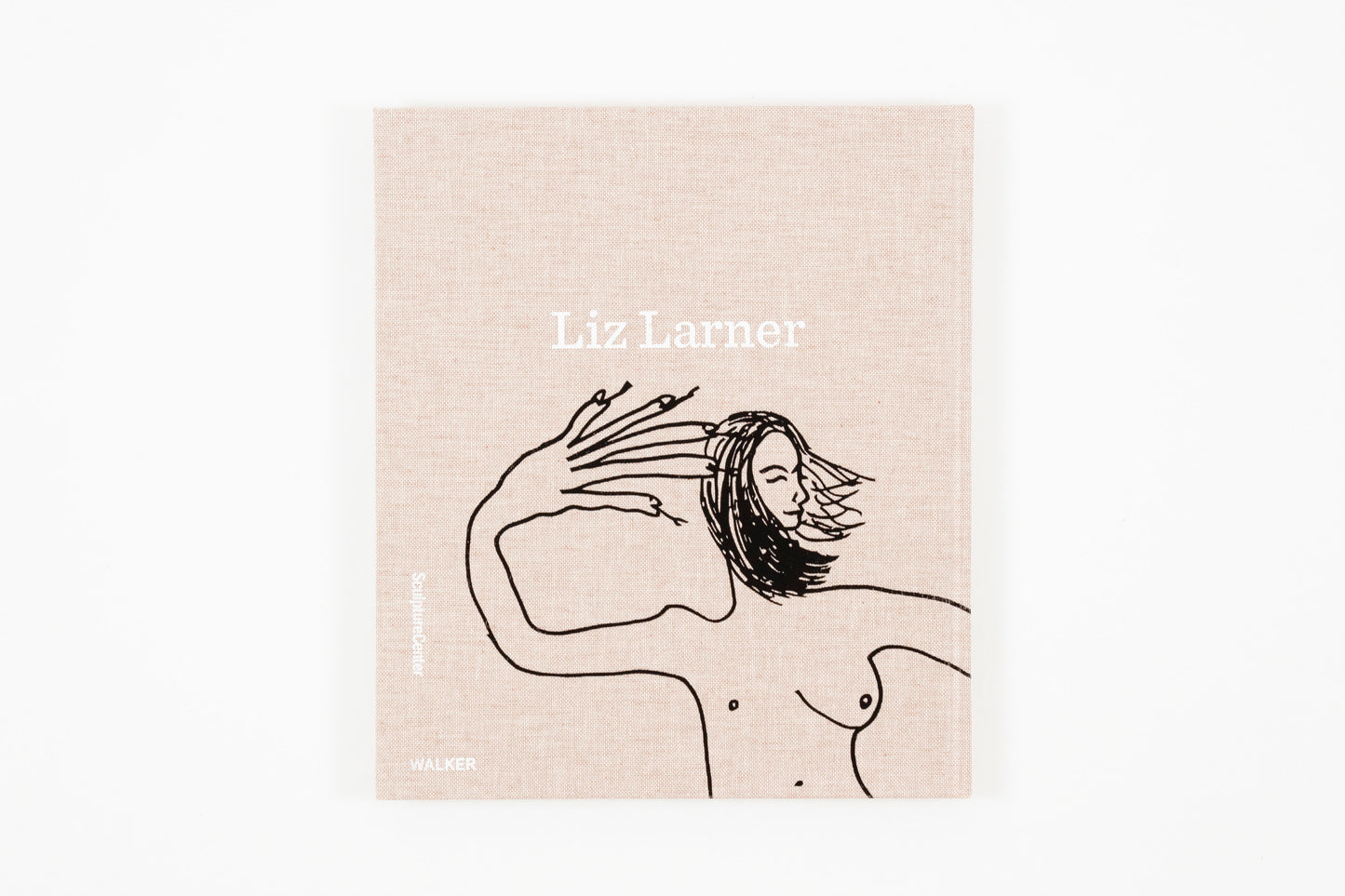 Liz Larner - Don't Put It Back Like It Was