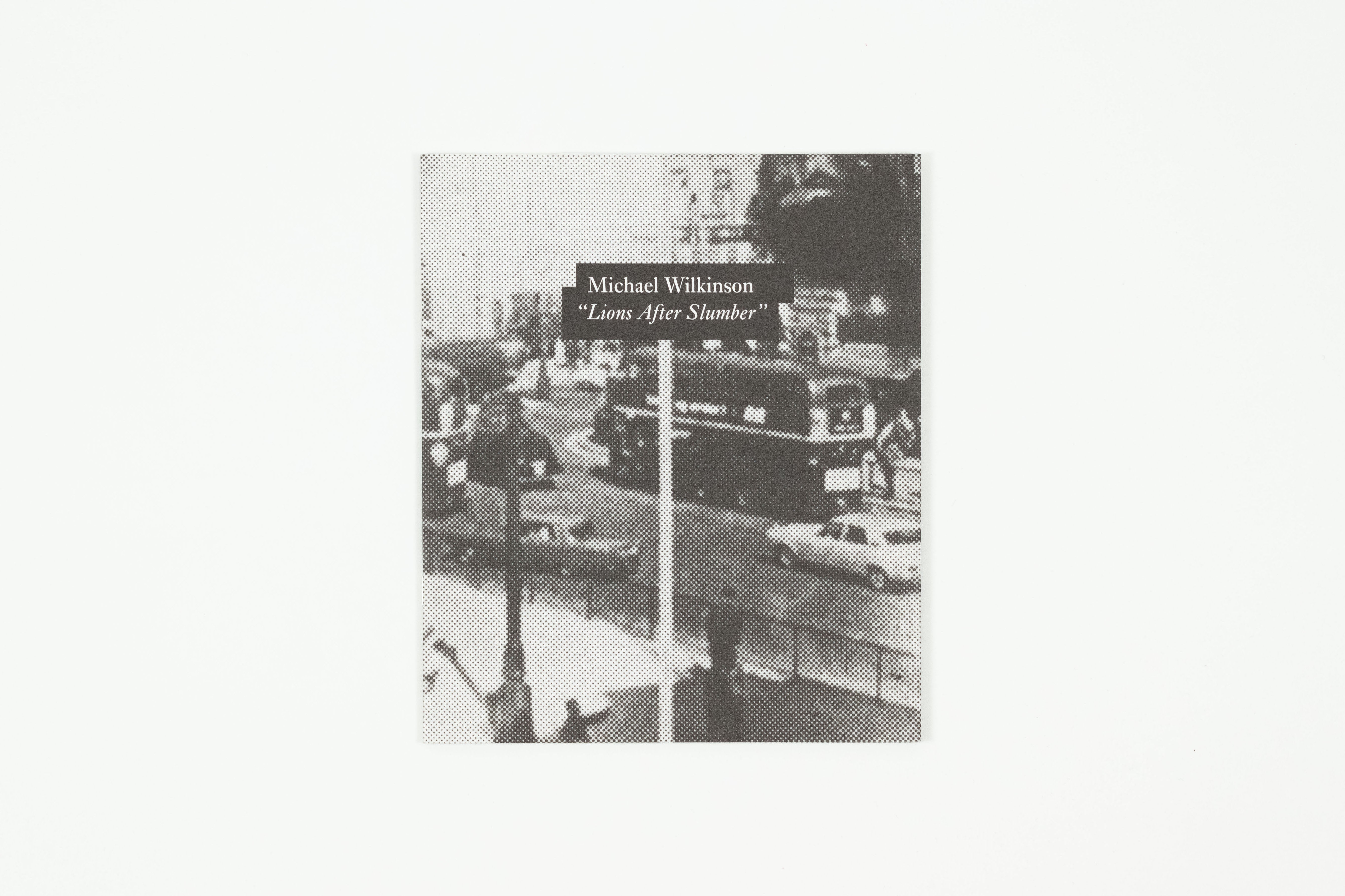 Slummer Michael Michael Wilkinson - Lions After Slumber – The Modern Institute