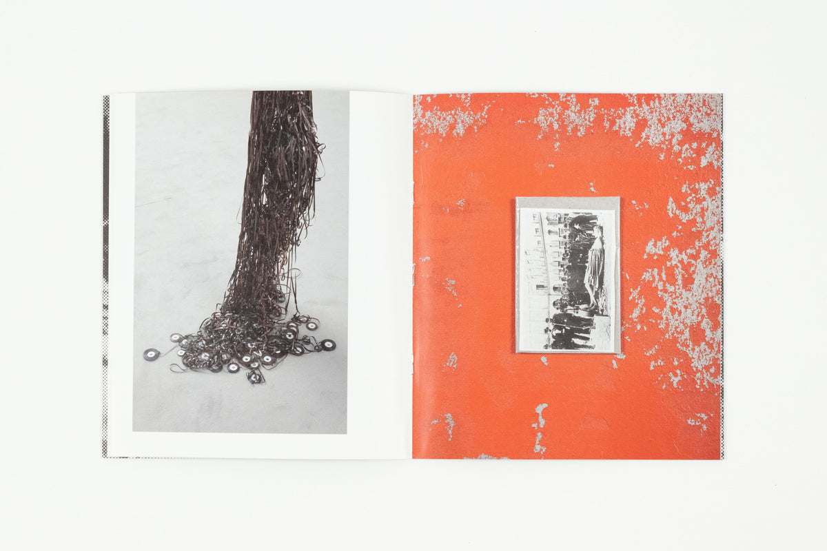 Slummer Michael Michael Wilkinson - Lions After Slumber – The Modern Institute