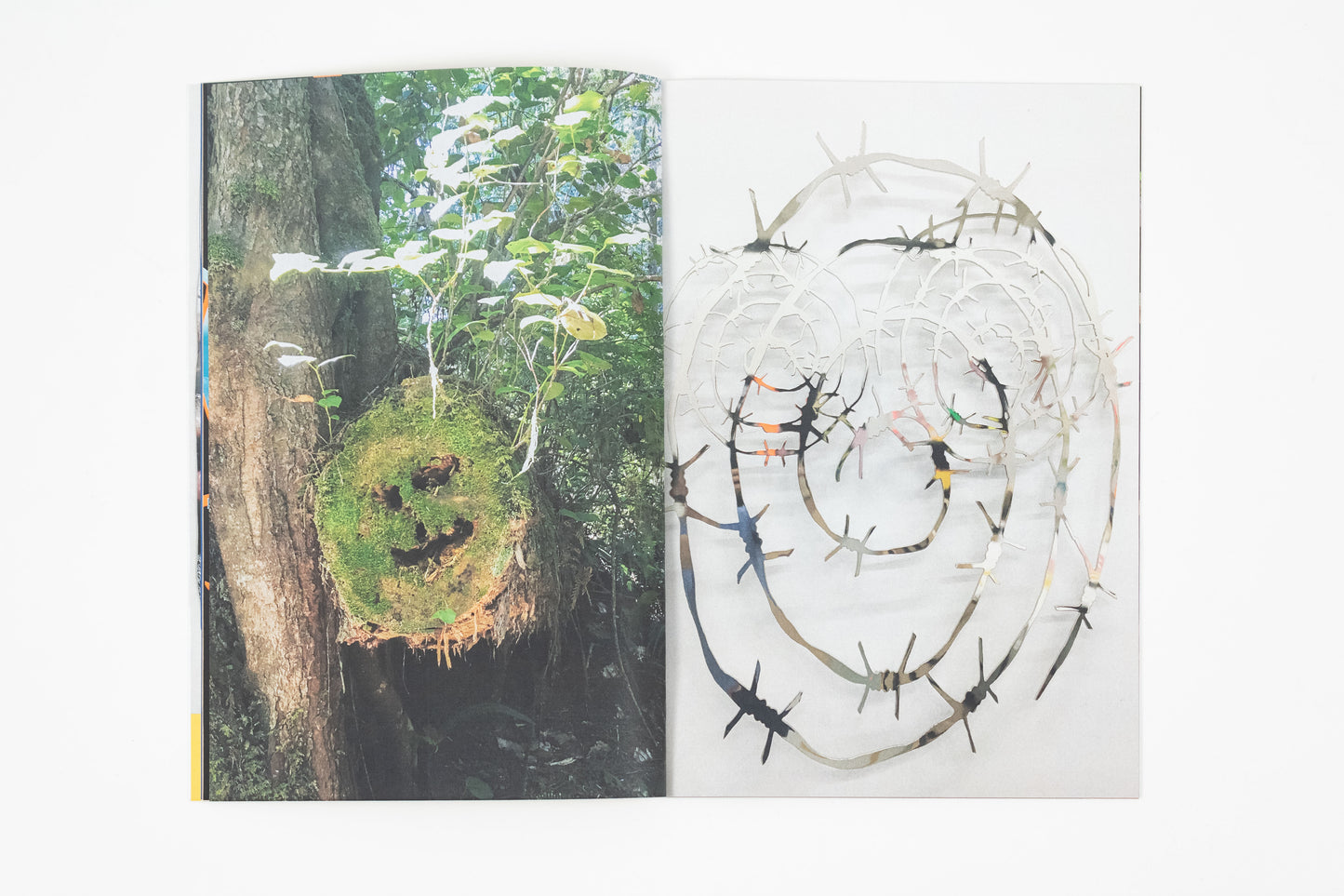 Simon Perition - National Geographic