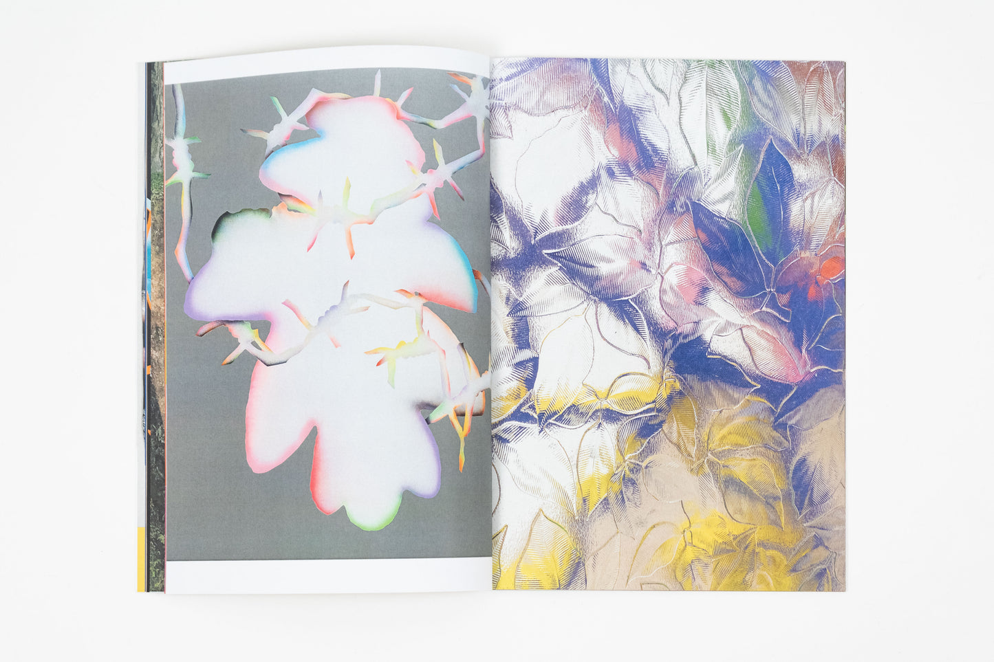 Simon Perition - National Geographic