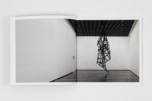 Monika Sosnowska - Regional Modernities