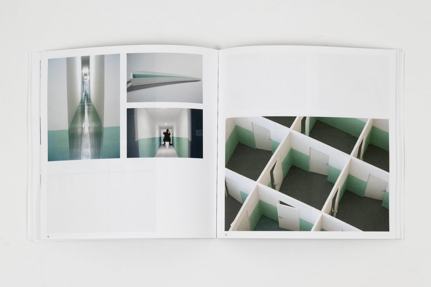 Monika Sosnowska - Regional Modernities