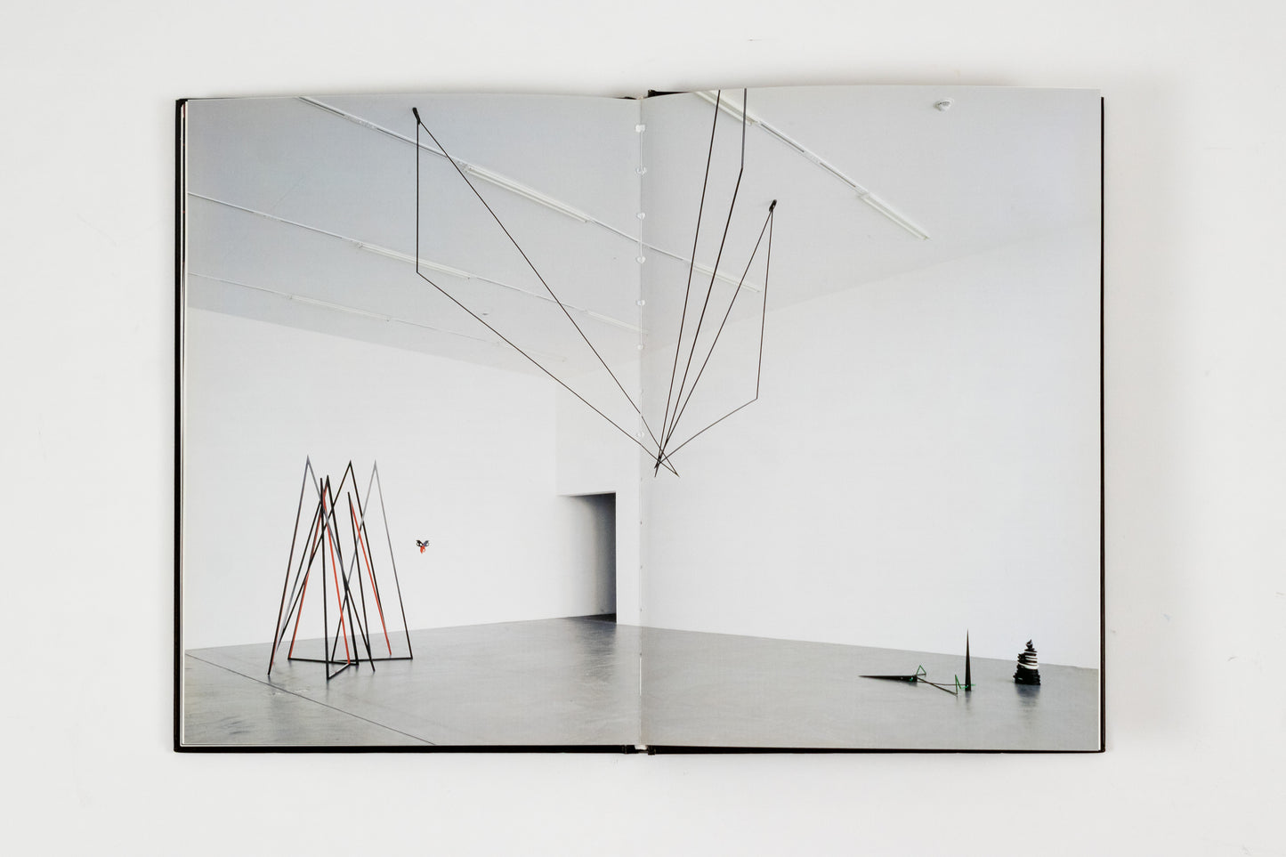 Eva Rothschild
