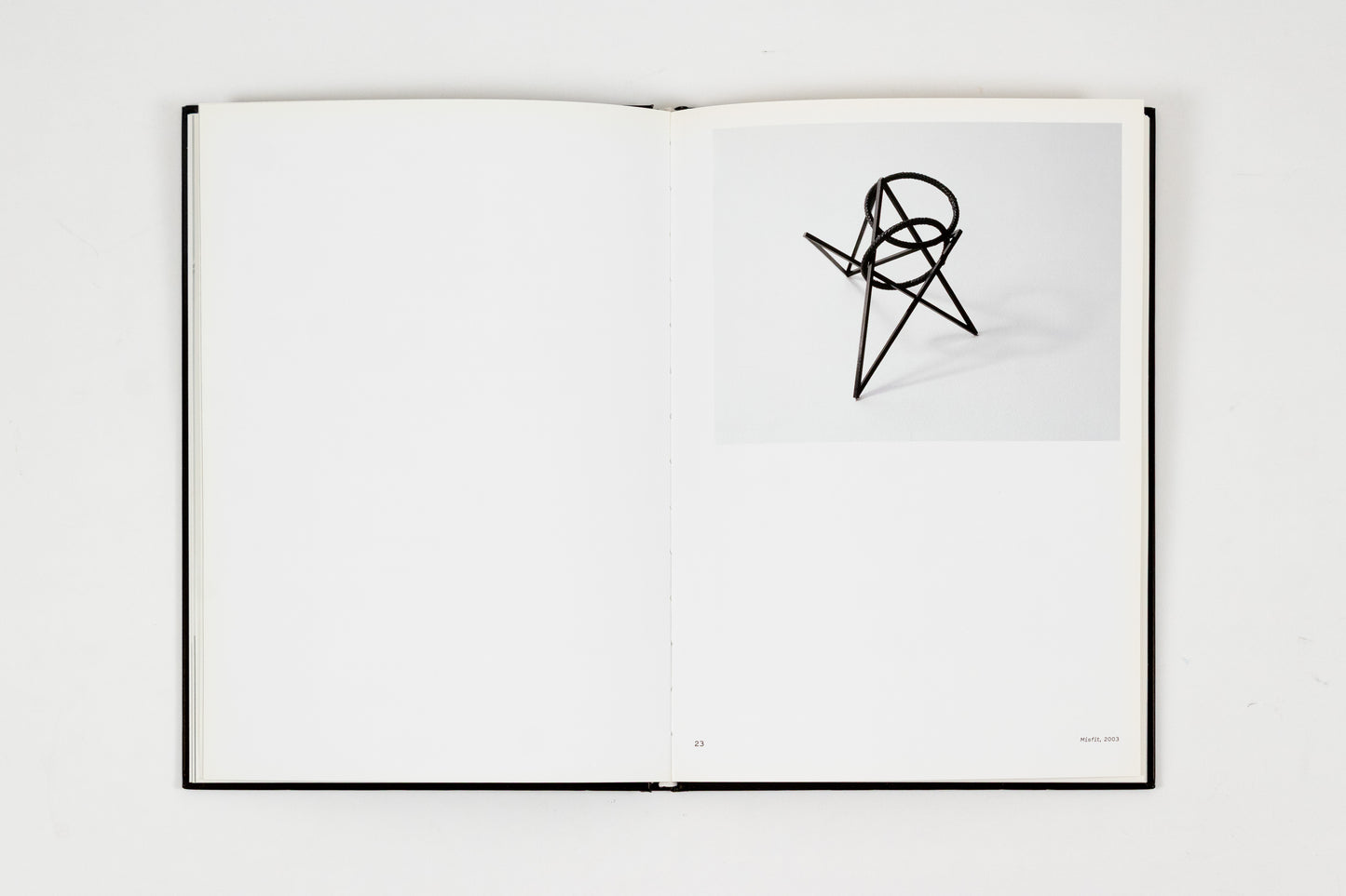 Eva Rothschild