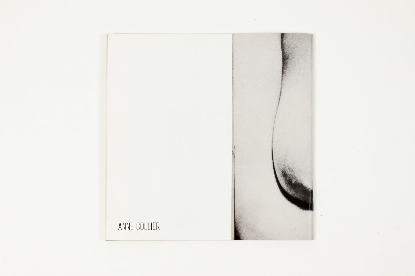 Anne Collier