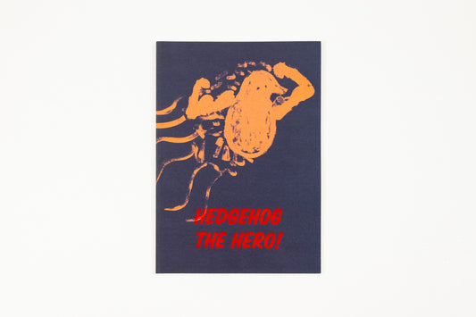 Walter Price - Hedgehog the Hero!