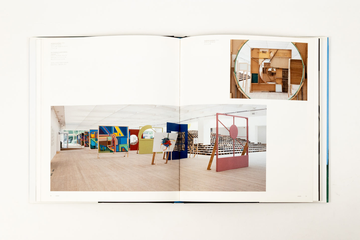 Chris Johanson