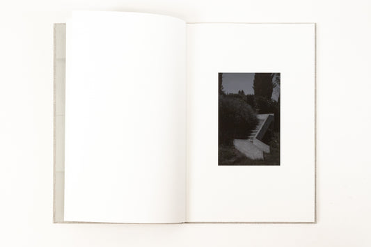 Martin Boyce - A Partial Eclipse