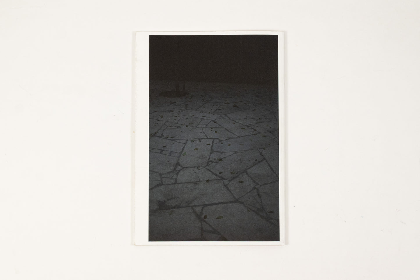 Martin Boyce - Thoughts that Breathe Works of the Haubrok Collection at Fondation Hippocrène