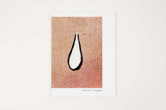 Anne Collier - Photographic