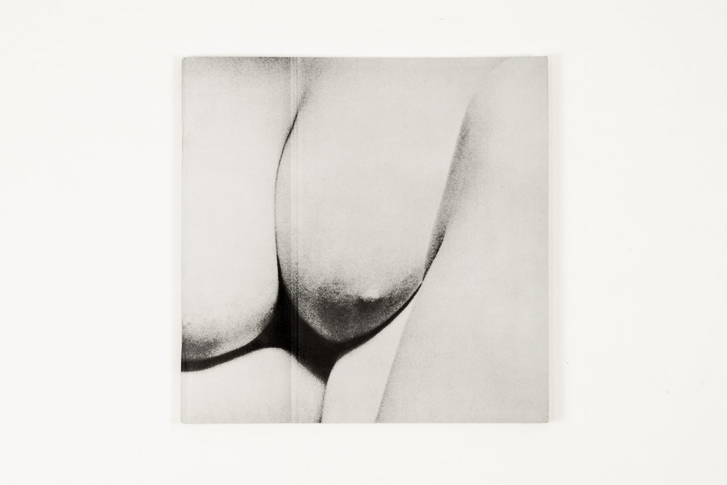 Anne Collier